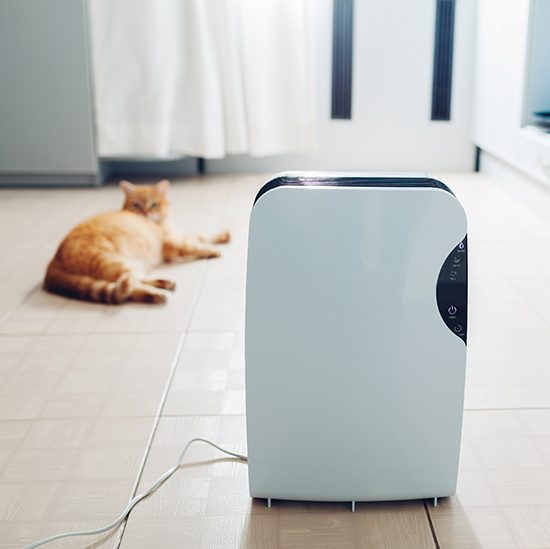 The most popular air purifiers in 2022, how much do you know?