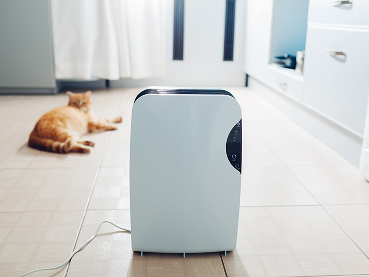 an air purifier